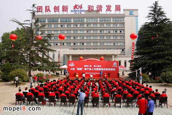 大阳摩托车载载DY125T-28