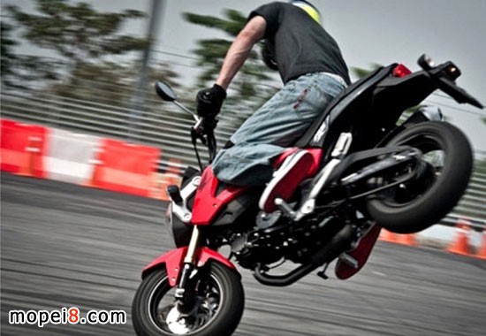 Honda MSX125Ħгؼ̺