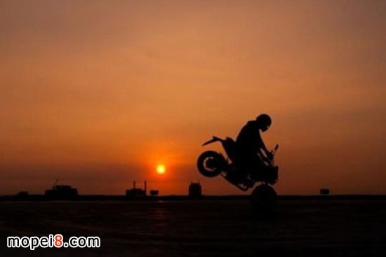Honda MSX125Ħг