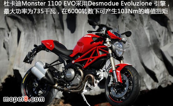 ſĦгMONSTER1100EVO