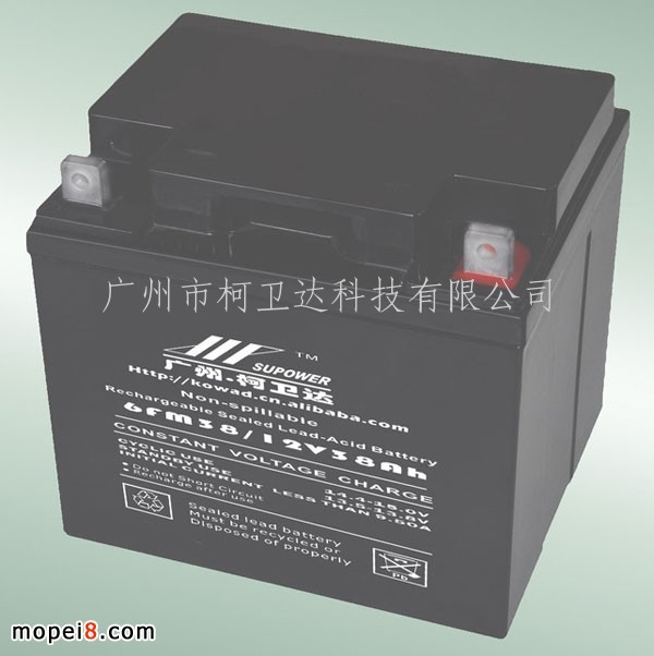 12V38AhǦ ܷVRLA BATTERY