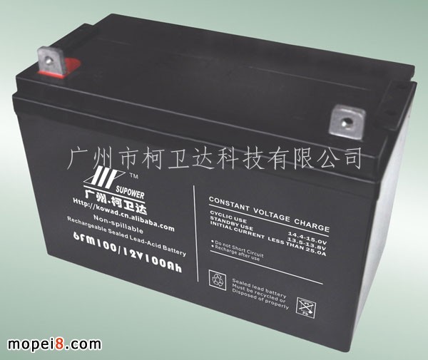 12V100Ah(D)Ǧ ܷVRLA BATTERY