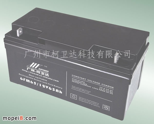 12V65AhܷǦVRLA BATTERY