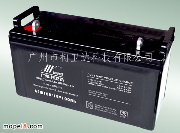 12V100AhܷǦVRLA LEASD ACID BATTERY