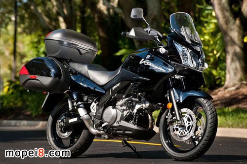 Suzuki DL1000ľĦг