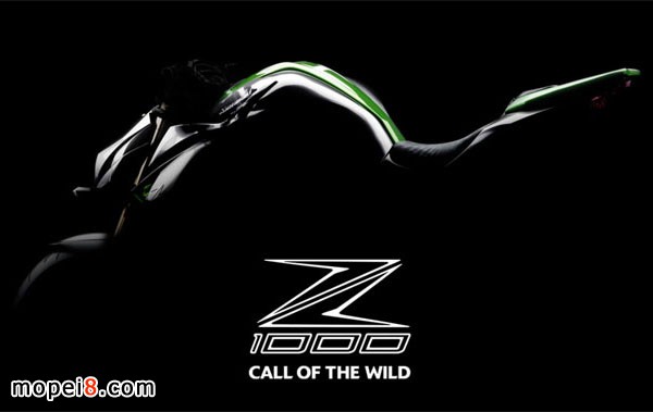 2014 KAWASAKIȫZ1000Ħг