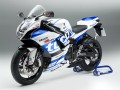 SuzukiGSX-R600 Tycoͼư