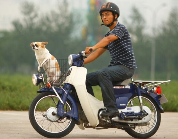 本田HONDA超级幼狐Super CUB50