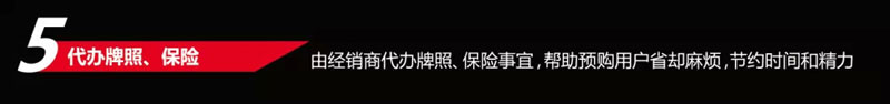 尊享代办牌照、保险服务
