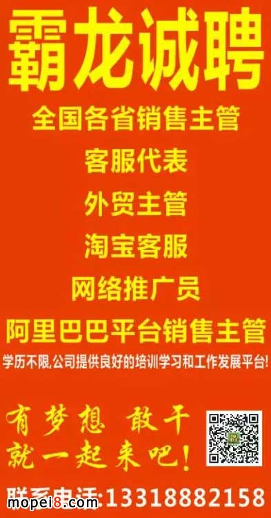 嘉宝招聘_嘉宝华招聘 BOSS直聘