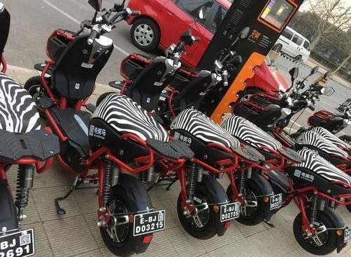 电斑马共享电动车
