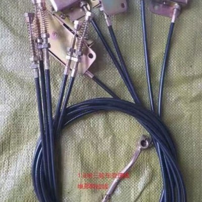 维那特拉线