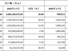 2024年前七月：中国摩托车出口涨势稳定，拉丁美洲成最大增长点
